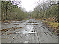 TM2591 : Old military roadway at Hardwick Airfield by Adrian S Pye