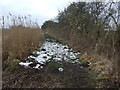 Path beside the Leven Canal