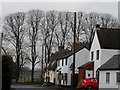 Great Sampford- houses and rookery