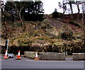 Steep bank above Avondale Terrace, Cymmer