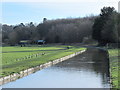 The New River south of the Lower Road bridge (2)