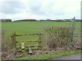 Footpath between Cranbury Ley Farm and Sandyforth Farm