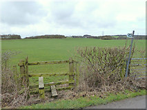 SD5501 : Footpath between Cranbury Ley Farm and Sandyforth Farm by Gary Rogers
