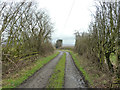 Farm track near Cranberry Ley Farm