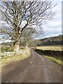 NY7752 : The road from Ninebanks Youth Hostel by Oliver Dixon