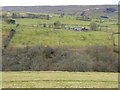 View across West Allendale