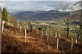 Eskdale Valley