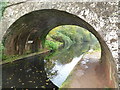 The Great Western Canal under Greenway Bridge