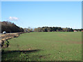 Field on north side of A689