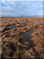 NC8930 : Bog, Cnoc na Fliuch-airigh, Sutherland by Claire Pegrum