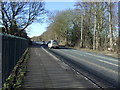 Cycle path beside the A614