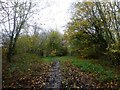 Path to Potter Holes Plantation