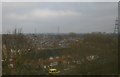 Horseley Heath from the railway