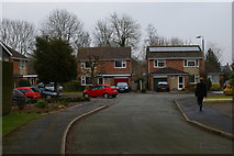 SJ6543 : Armstrong Close, Audlem by Christopher Hilton