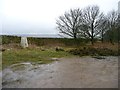 Trig point between Ellishaw Hill and Ling Park