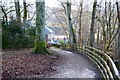 Lower path, Birks of Aberfeldy