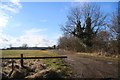 Track near Thrift Farm