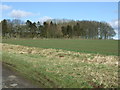 Woodland around reservoir