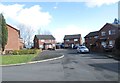 Hornbeam Way - viewed from Hazel Avenue