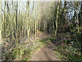 Path in the Western Hills Nature Reserve