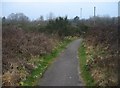 Wasteland behind Harbour Close