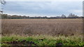 Arable land on the Avon floodplain