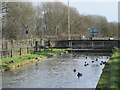 The New River by London Road (A119) in Ware (3)