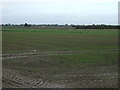 Flat farmland off Kirton Drove