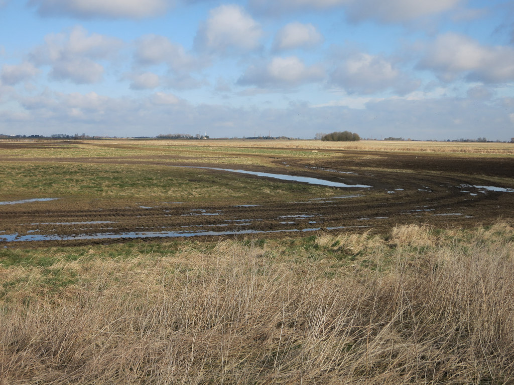 Great Fen habitat creation © Hugh Venables :: Geograph Britain and Ireland