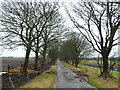 Coach Road near Brown Birch Farm