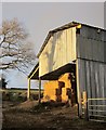 Straw in barn, Hatherleigh