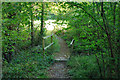 Footbridge on footpath 1887