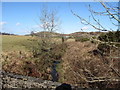 Headwaters of the Flurry River above Cottage Road