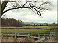 Fields North of Moss Farm, Windle