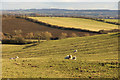 View from Windmill Hill