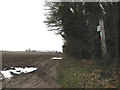 Footpath to the A143 Old Bury Road