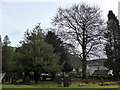 SD4698 : St James, Staveley: churchyard (c) by Basher Eyre