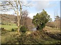 Pond by Coed Mawr Hall