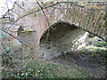 TG2521 : Two arches of Mayton Bridge, Horstead by Adrian S Pye