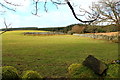 Farmland near Knockman Wood