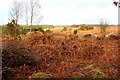 Scrubland near Knockman Wood