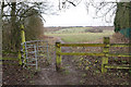 Footpath off Pex Hill