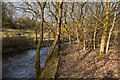 Bradshaw Brook in Seven Acres nature reserve