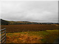 Field at Sandyhall, Glendoick