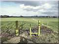 Footpath to Dean Wood Lane, Gathurst