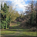 Lime Kiln Close Local Nature Reserve