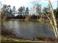 Fishing pond, Elm Farm