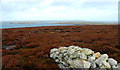 Burray moorland