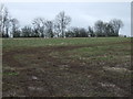 Farmland off Gringley Road