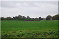 Field south of Manor Farm